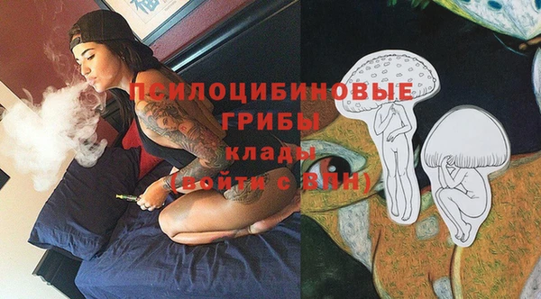 МДПВ Волоколамск